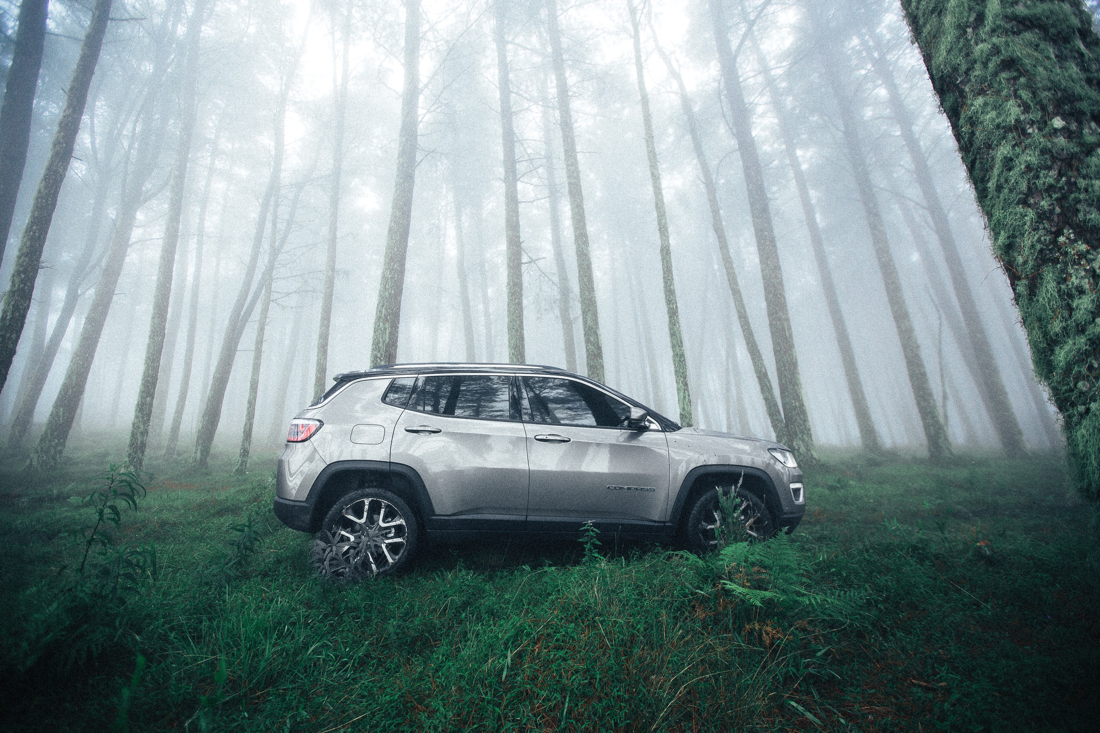 silver SUV parked in the misty woods