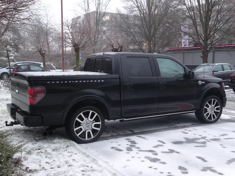 2010 Ford F-150 in snow