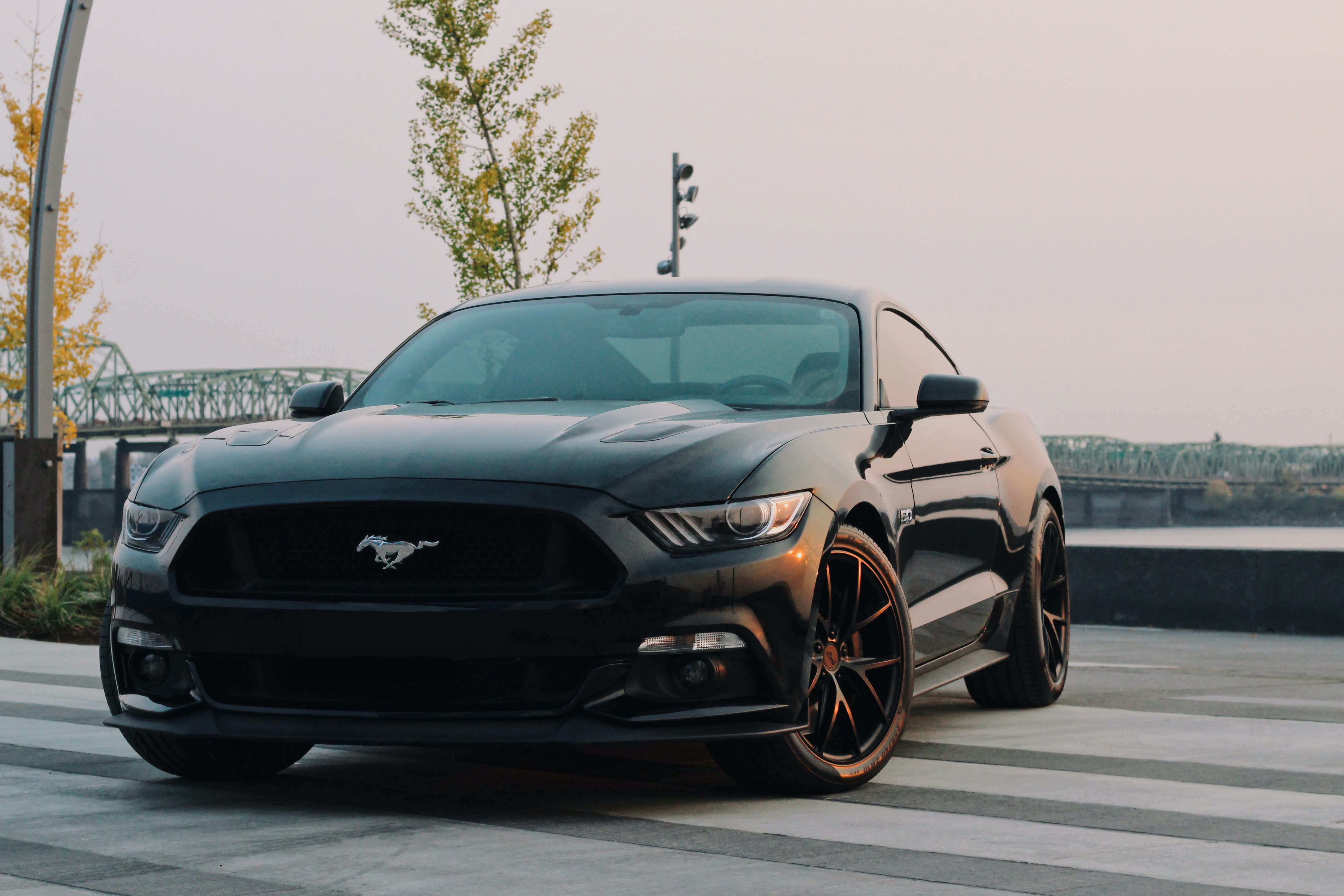 black ford mustang