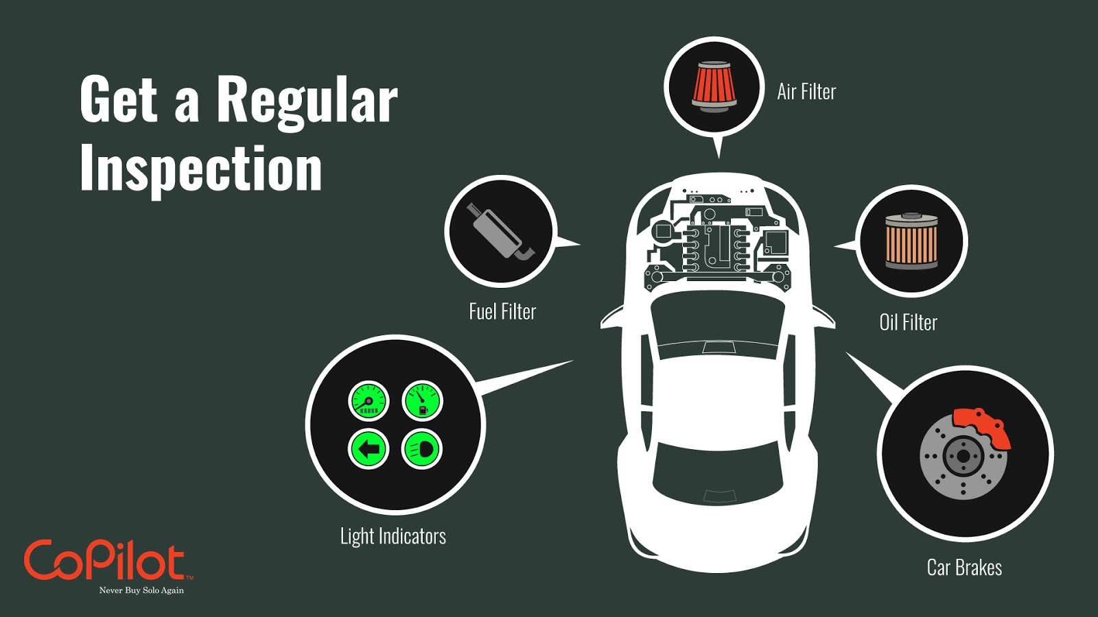 Car inspection infographic