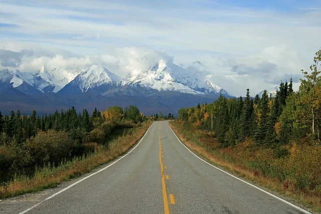 Road in wooded Alaska