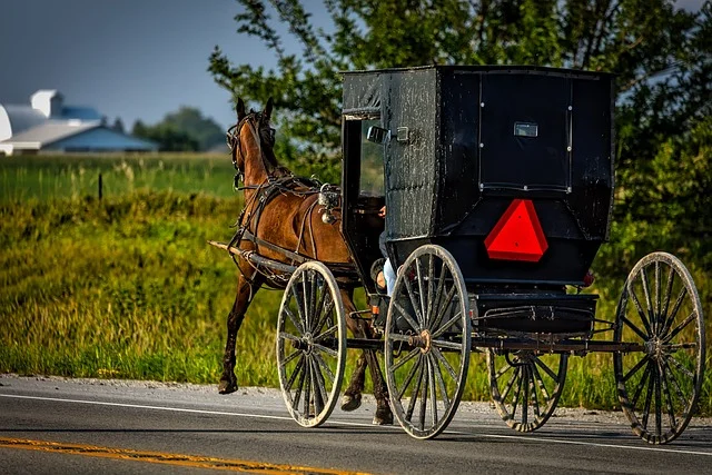Horse and buggy on an Iowa road