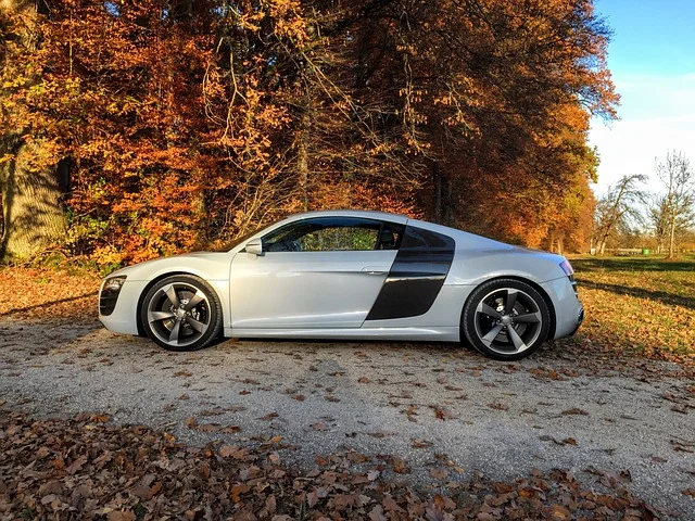 Audi R8 in the Fall
