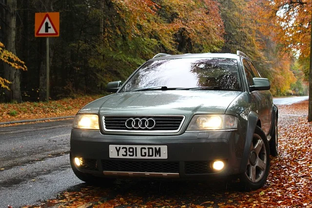 Audi A6 parked on a leaf-covered road