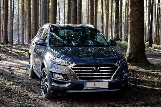 Hyundai Tucson in the woods