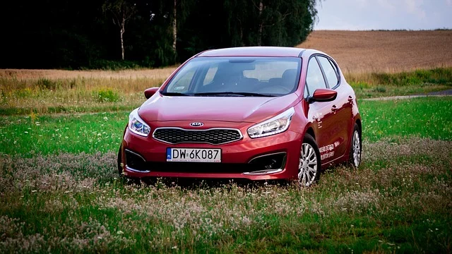 Red Kia parked in a field
