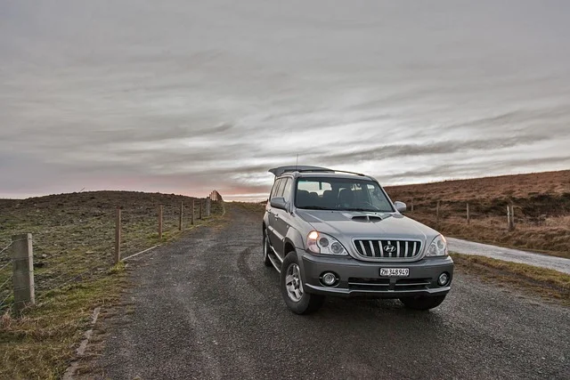 Hyundai parked on a country road