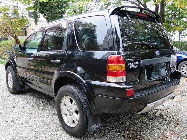 Rear view of a black Ford Escape