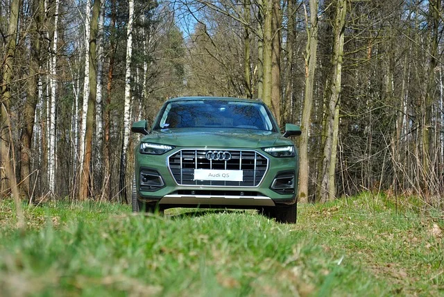 Audi Q5 in the forest
