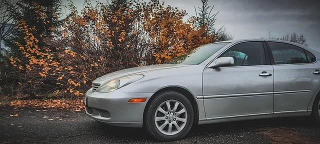 Lexus ES on a road in the fall