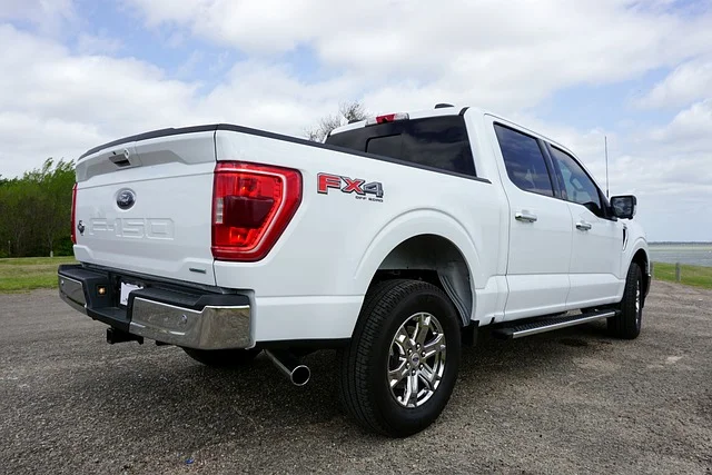 Rear view of a Ford F-150