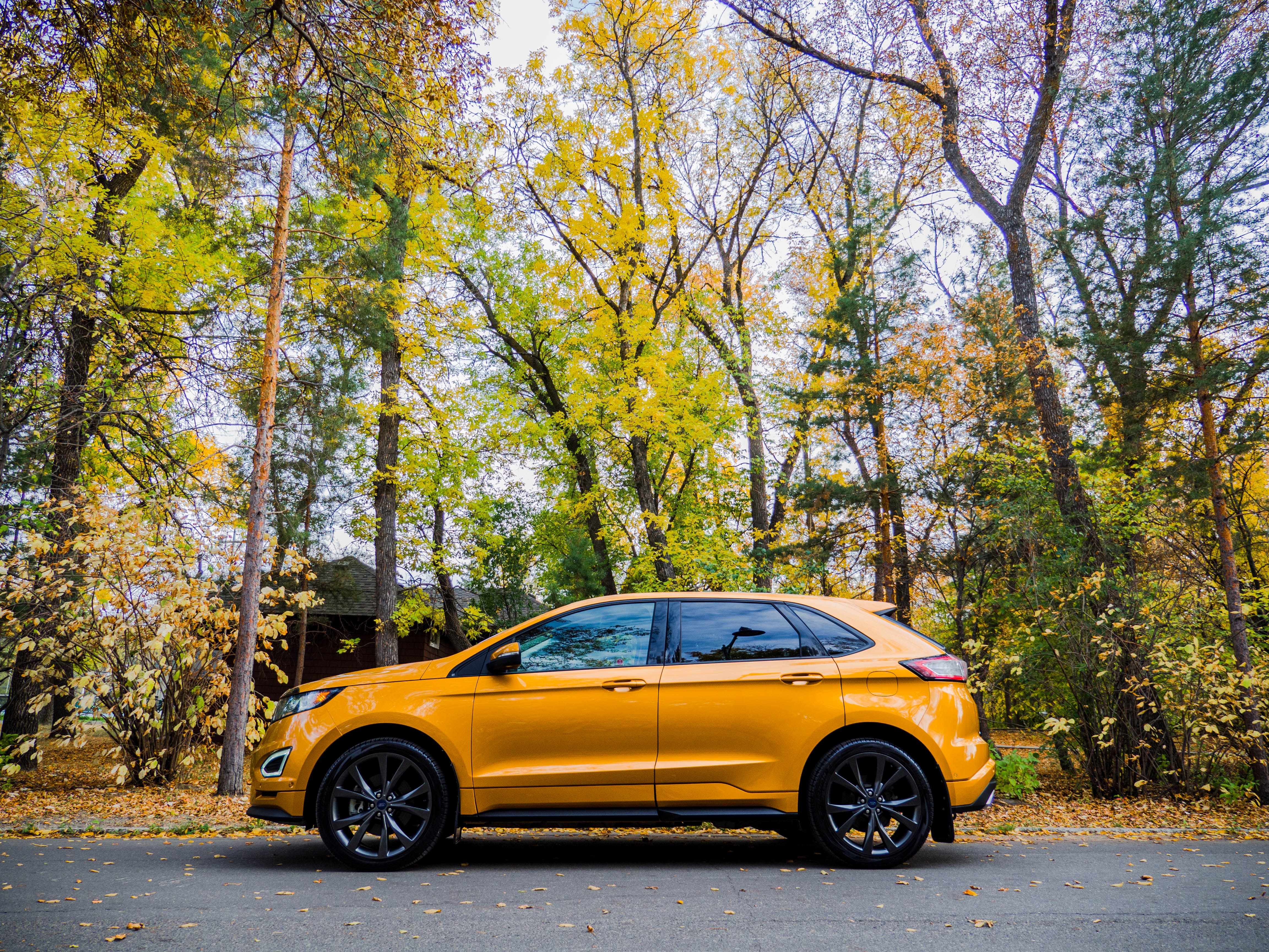 yellow ford edge