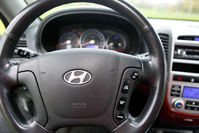 Hyundai Santa Fe steering wheel