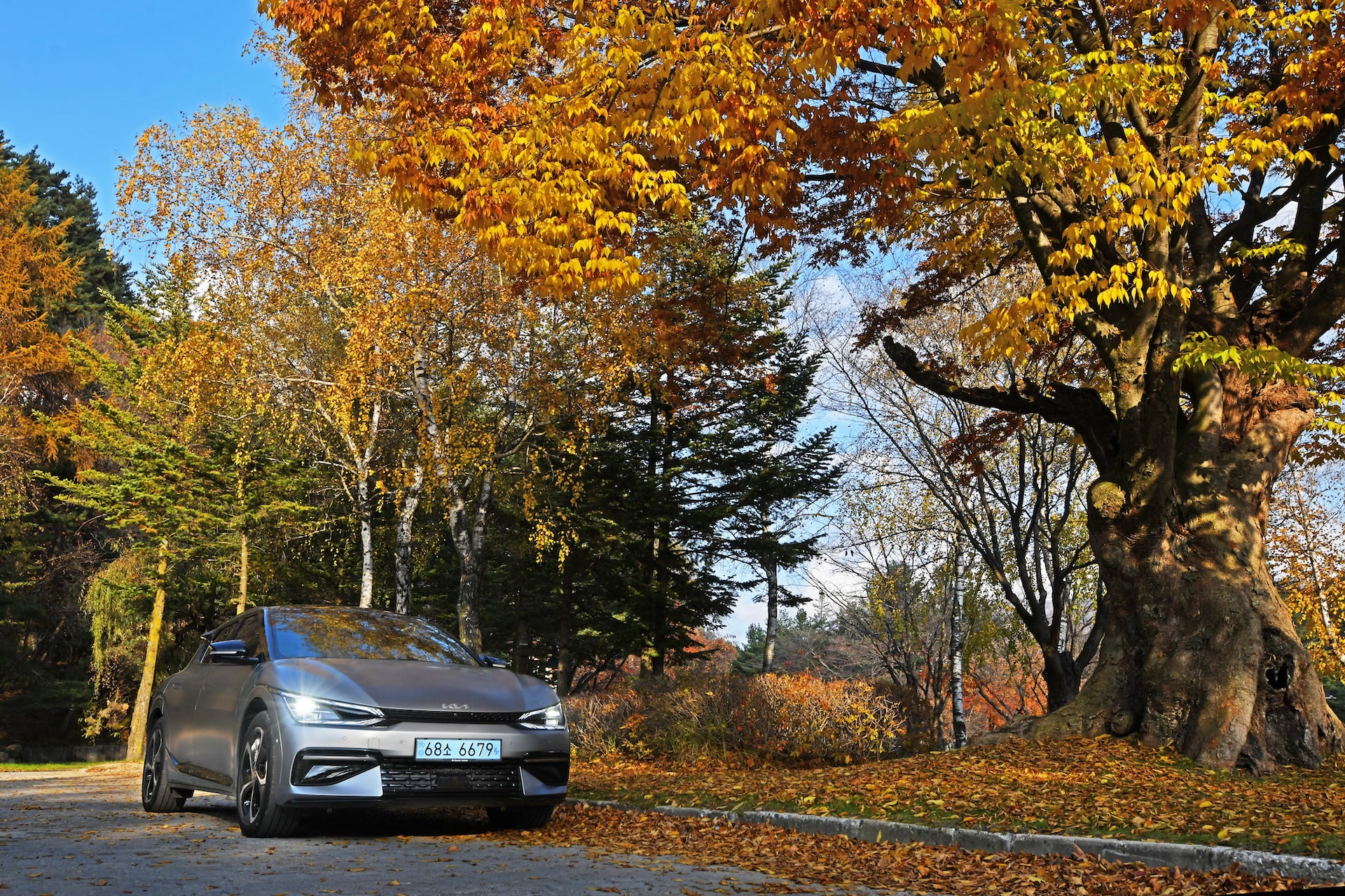 silver kia ev6