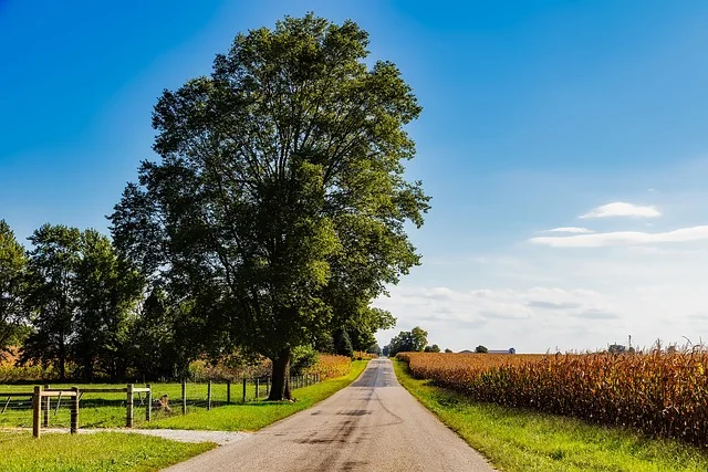 Rural road in Indiana