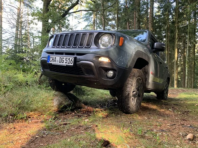 Jeep Renegade driving in the forest