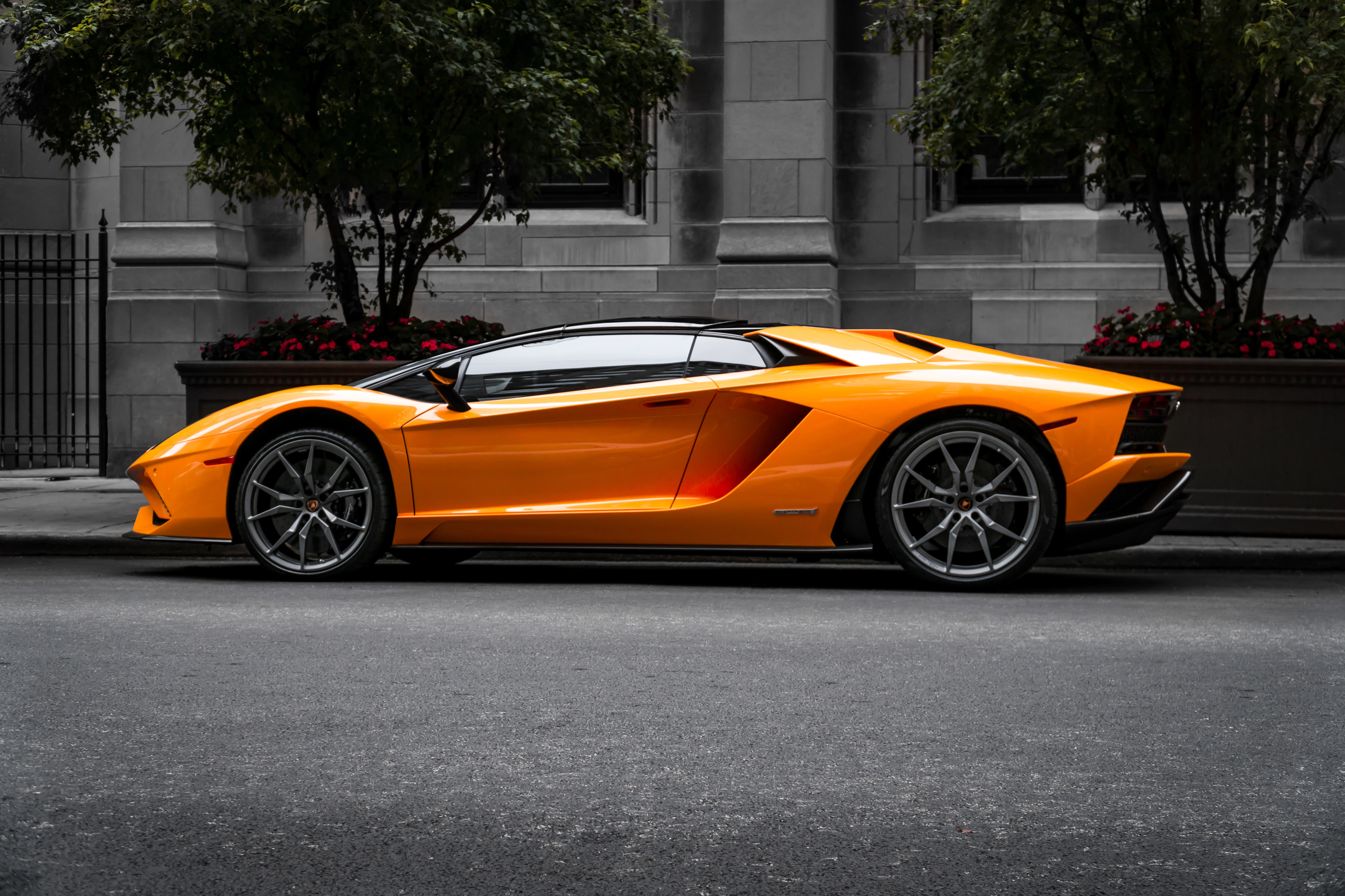 yellow gold Lamborghini