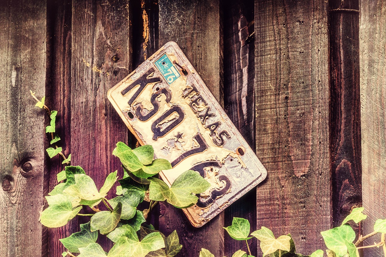 Photo of Texas license plate