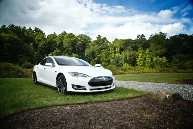 Tesla Model S in a forest