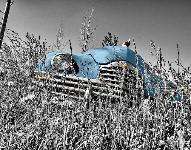 Car radiator in a field