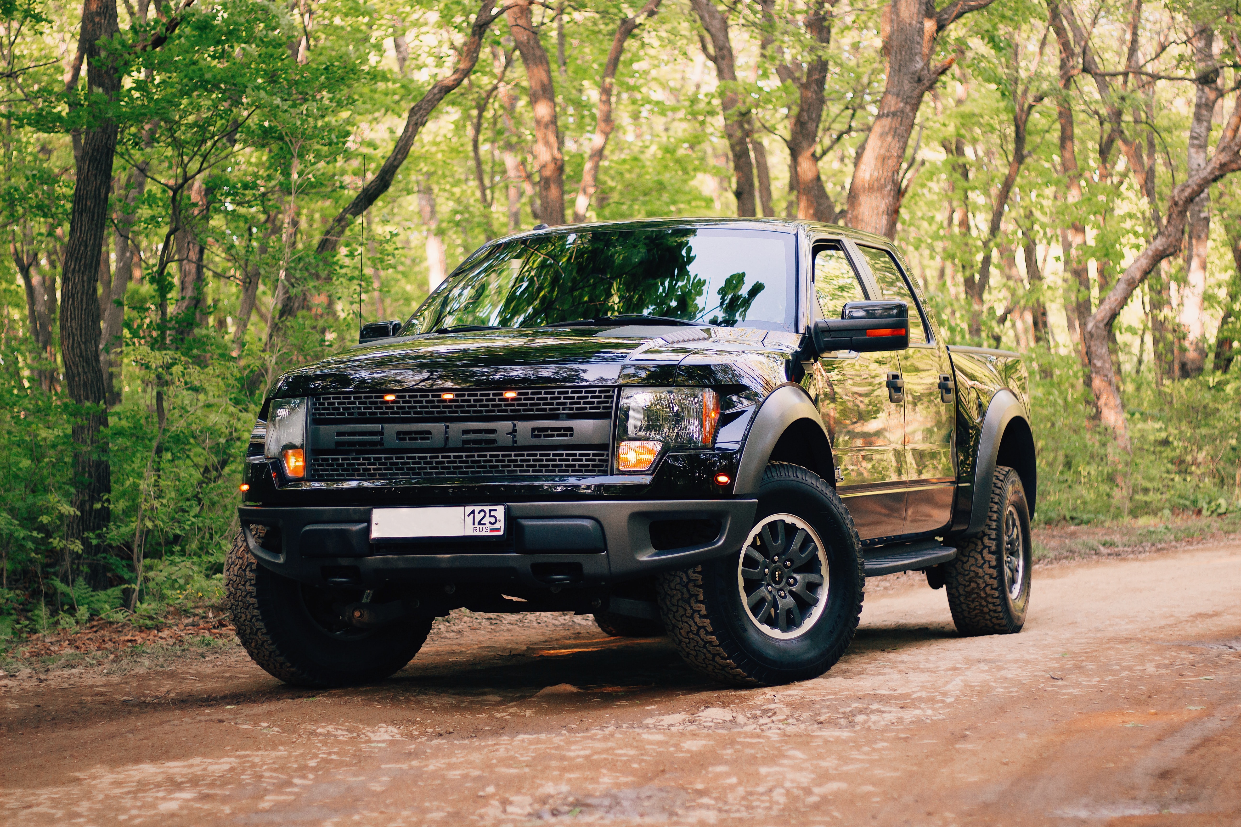 black ford f-150