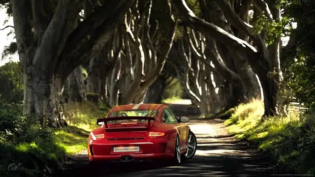 Porsche 997 driving through trees
