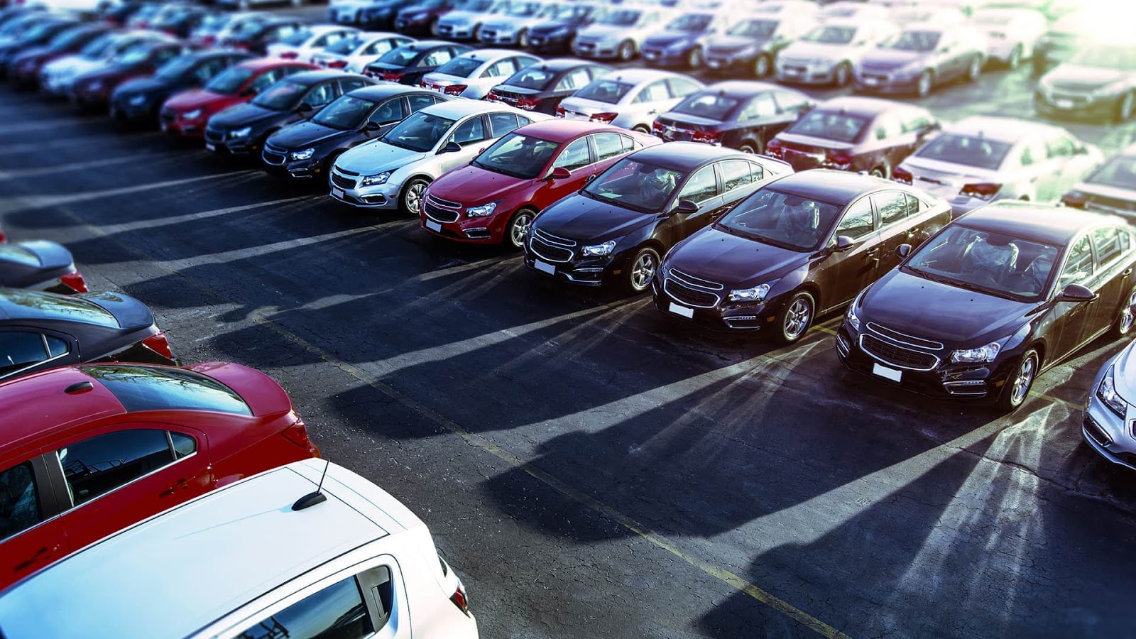 Photo of car dealership lot in Arlington, VA