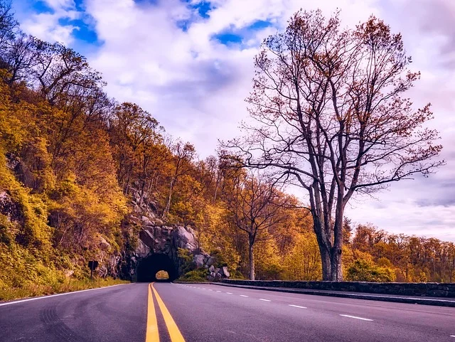 Fall road in Virginia