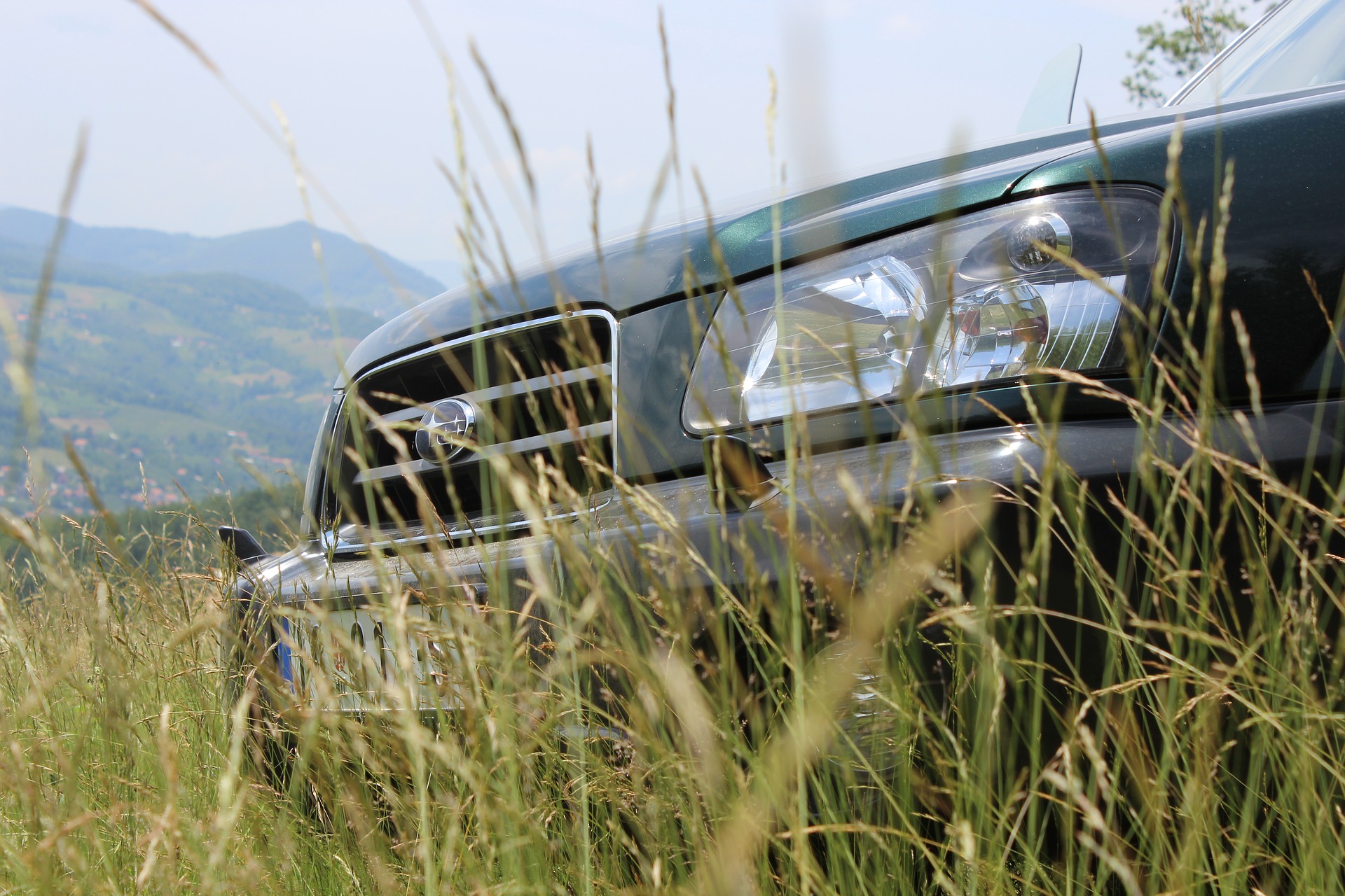 Photo of Subaru Forester in tall grass