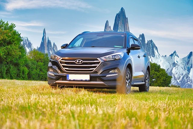 Hyundai Tucson parked near mountains