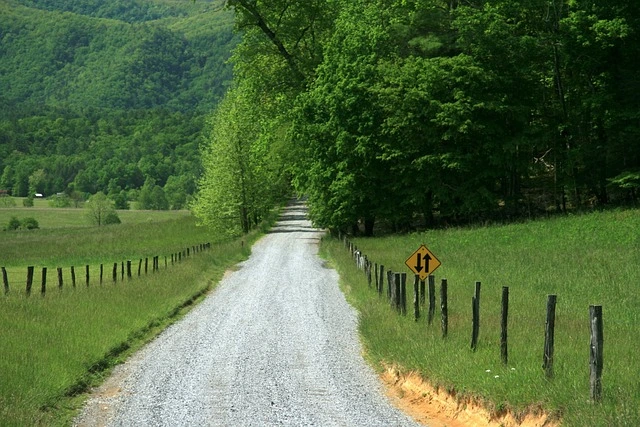 Country road in Tennessee