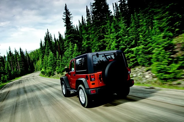 Jeep Wrangler driving down a forest road